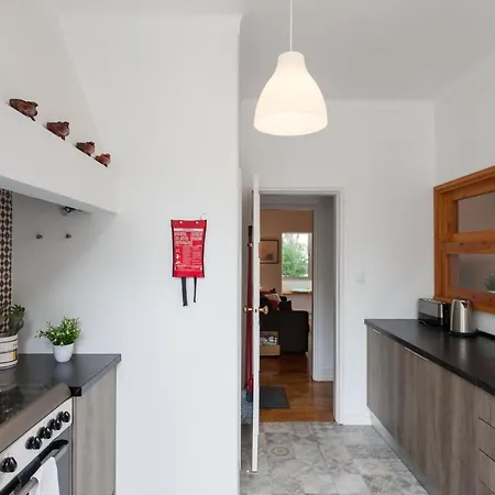 Flh With Terrace Apartment